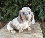Image preview for Ad Listing. Nickname: Jax