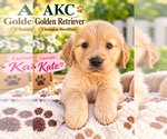 Image preview for Ad Listing. Nickname: Kate