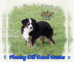 Image preview for Ad Listing. Nickname: Dior