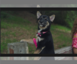 Image preview for Ad Listing. Nickname: Maru
