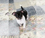  - Photo #2