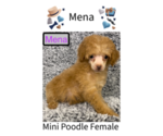 Image preview for Ad Listing. Nickname: Mena
