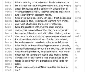 Nika - Female Rottweiler-Unknown Mix Dog for Adoption - Photo #2