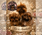 Image preview for Ad Listing. Nickname: Leo