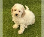Image preview for Ad Listing. Nickname: Nimbus