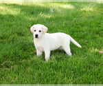 Image preview for Ad Listing. Nickname: Wanda