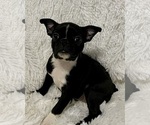 Image preview for Ad Listing. Nickname: Hope