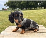 Image preview for Ad Listing. Nickname: Mia