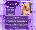 Small #2 Breeder Profile image