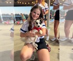 Small #1 Mutt