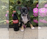 Image preview for Ad Listing. Nickname: Freida