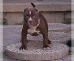 Image preview for Ad Listing. Nickname: Set