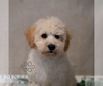 Image preview for Ad Listing. Nickname: Kory