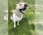 Small #3 Breeder Profile image