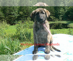 Image preview for Ad Listing. Nickname: Coastal Cottage