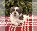 Image preview for Ad Listing. Nickname: Baylee