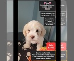 Image preview for Ad Listing. Nickname: Ulsa