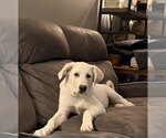 Small #3 Breeder Profile image