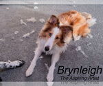 Small #3 Breeder Profile image