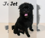 Small #3 Breeder Profile image