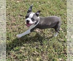 Image preview for Ad Listing. Nickname: Dakota