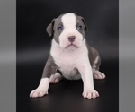 Image preview for Ad Listing. Nickname: Judith