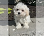 Image preview for Ad Listing. Nickname: Felicity