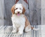 Image preview for Ad Listing. Nickname: Sally
