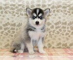 Image preview for Ad Listing. Nickname: Misty