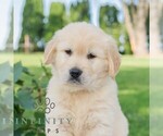 Image preview for Ad Listing. Nickname: Maverick