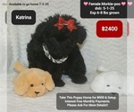 Image preview for Ad Listing. Nickname: Katrina