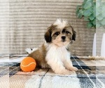 Small #4 Mal-Shi