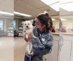 Small #14 Chihuahua Mix