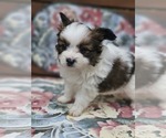 Image preview for Ad Listing. Nickname: Rebel