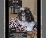 Image preview for Ad Listing. Nickname: Sheila
