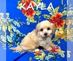 Image preview for Ad Listing. Nickname: Kayla