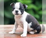 Image preview for Ad Listing. Nickname: Jackie