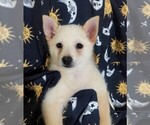 Image preview for Ad Listing. Nickname: AnnaBell