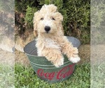 Image preview for Ad Listing. Nickname: Jace
