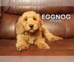 Image preview for Ad Listing. Nickname: Eggnog