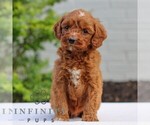 Image preview for Ad Listing. Nickname: Hayden