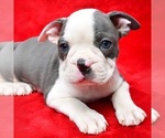 Image preview for Ad Listing. Nickname: Jethro