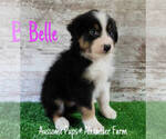 Image preview for Ad Listing. Nickname: Belle Starr