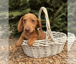 Image preview for Ad Listing. Nickname: Raine
