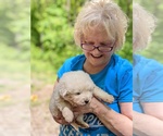 Small Photo #19 Maremma Sheepdog Puppy For Sale in THORN HILL, TN, USA