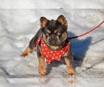 Image preview for Ad Listing. Nickname: Titan