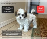 Image preview for Ad Listing. Nickname: Sandra