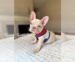 Image preview for Ad Listing. Nickname: Cinco