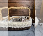 Image preview for Ad Listing. Nickname: Diva