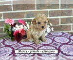 Image preview for Ad Listing. Nickname: Marcey